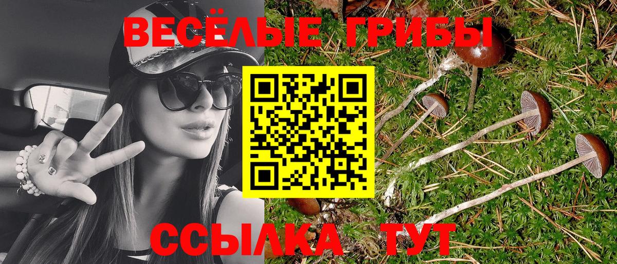 Галлюциногенные грибы MAGIC MUSHROOMS  Вход с VPN  Муравленко 