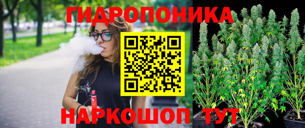 Шишки марихуана сатива  Бошки Шишки Bruce Banner  Вход с VPN  Муравленко 